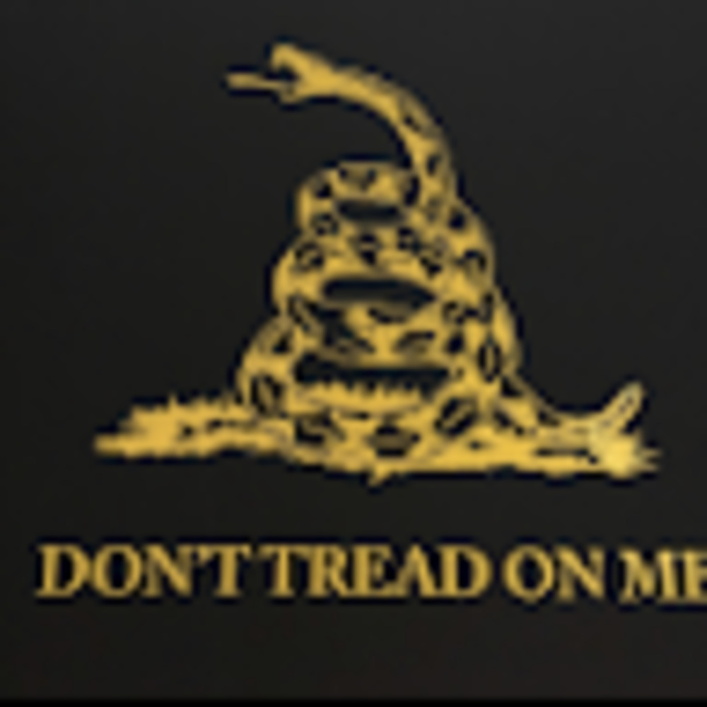 Meet your Posher, Zach